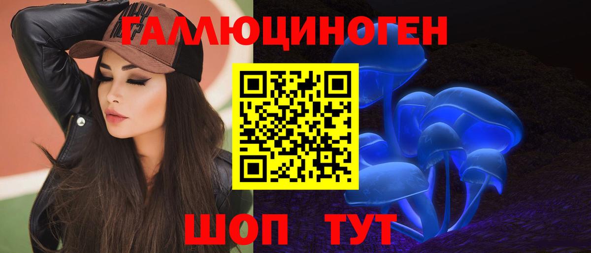 Псилоцибиновые грибы GOLDEN TEACHER  Псилоцибиновые грибы Cubensis  Клинцы  Вход с VPN 